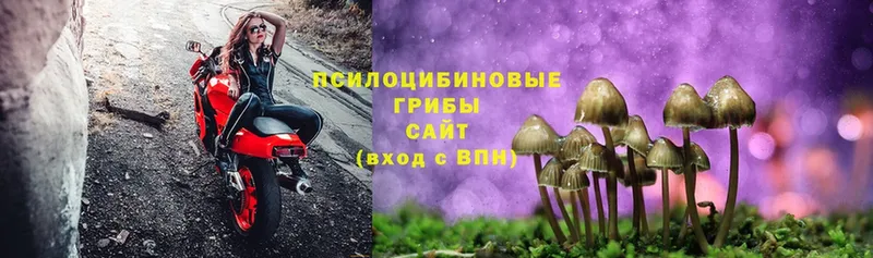 mega рабочий сайт  Анжеро-Судженск  Галлюциногенные грибы MAGIC MUSHROOMS 